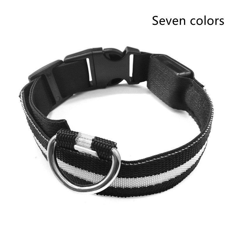LumiPet – Collar de Visibilidad Nocturna Para tu Mascota