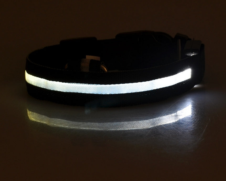 LumiPet – Collar de Visibilidad Nocturna Para tu Mascota