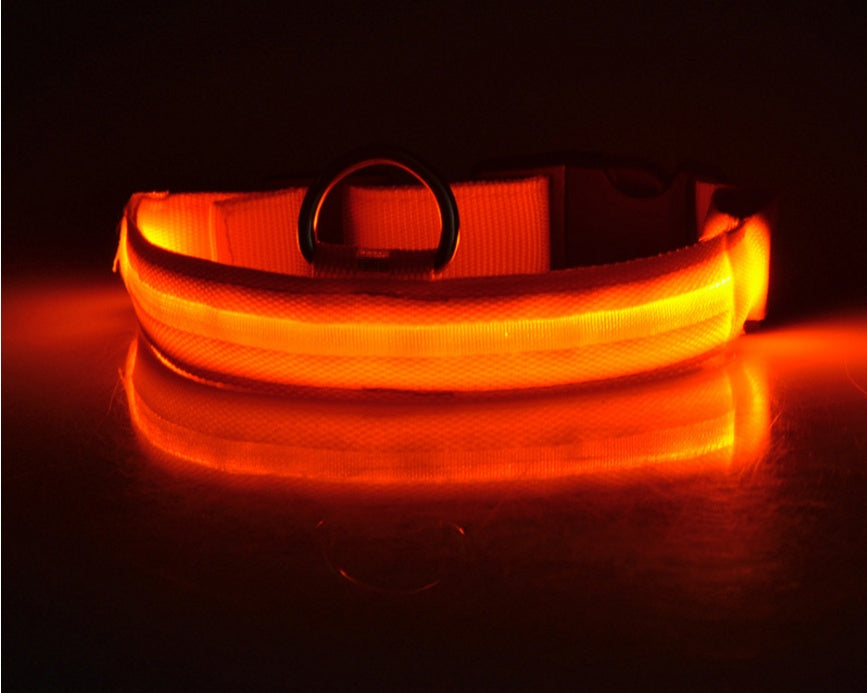 LumiPet – Collar de Visibilidad Nocturna Para tu Mascota