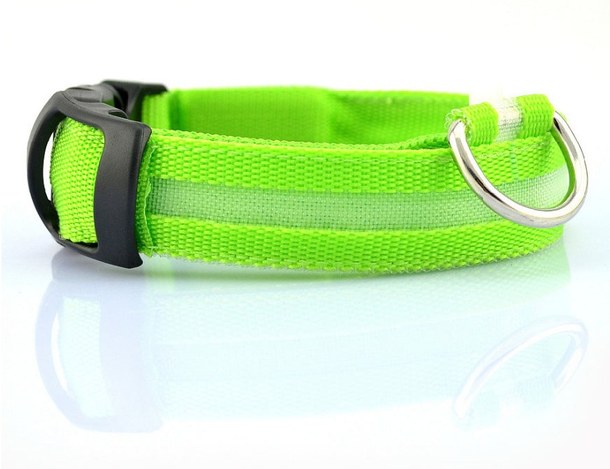 LumiPet – Collar de Visibilidad Nocturna Para tu Mascota