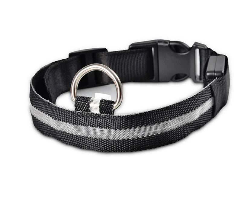 LumiPet – Collar de Visibilidad Nocturna Para tu Mascota