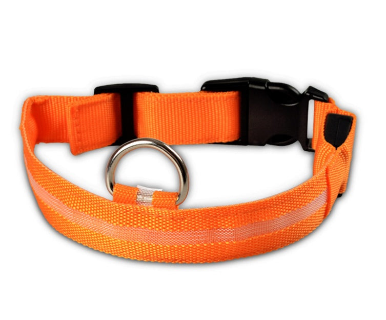 LumiPet – Collar de Visibilidad Nocturna Para tu Mascota