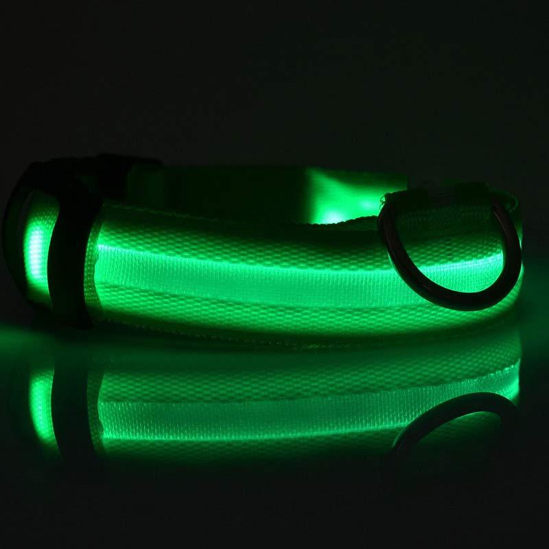 LumiPet – Collar de Visibilidad Nocturna Para tu Mascota