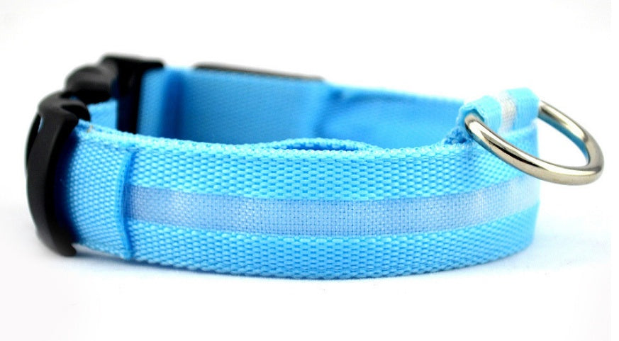 LumiPet – Collar de Visibilidad Nocturna Para tu Mascota