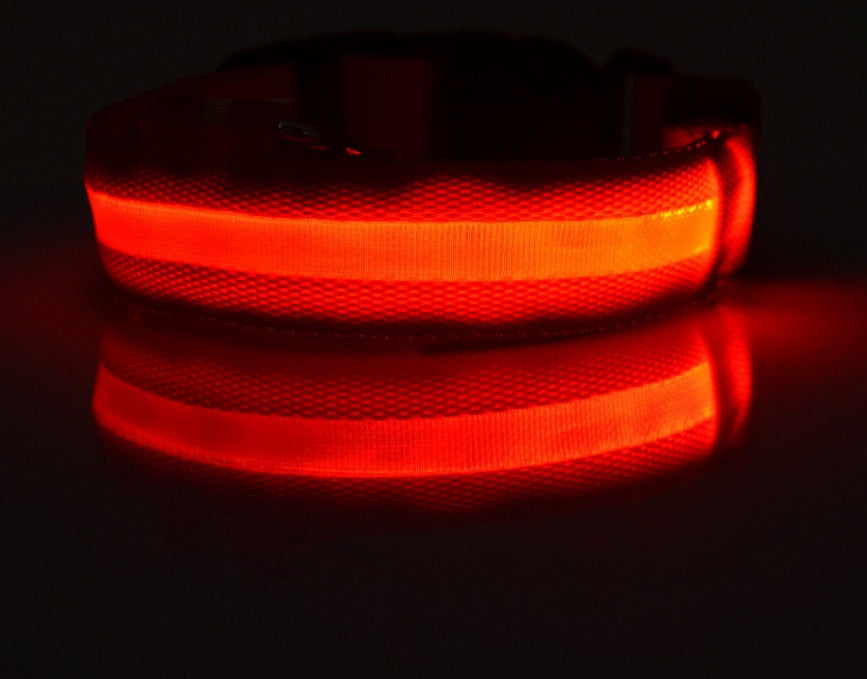 LumiPet – Collar de Visibilidad Nocturna Para tu Mascota