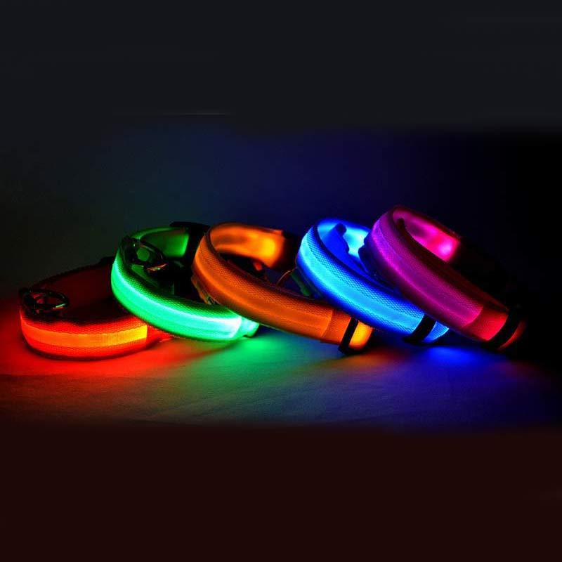 LumiPet – Collar de Visibilidad Nocturna Para tu Mascota
