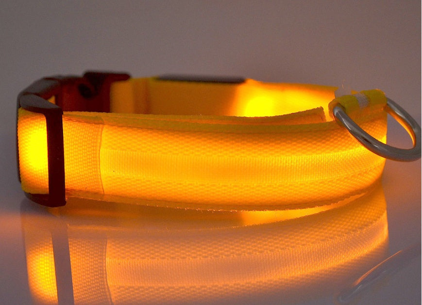 LumiPet – Collar de Visibilidad Nocturna Para tu Mascota