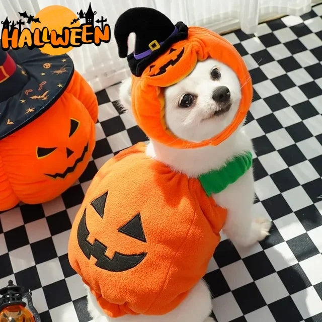 SpookyTail Pumpkin – Traje de Calabaza para Mascotas