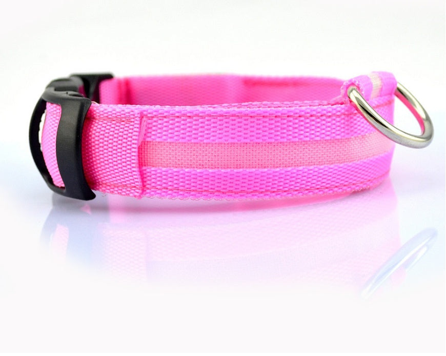 LumiPet – Collar de Visibilidad Nocturna Para tu Mascota