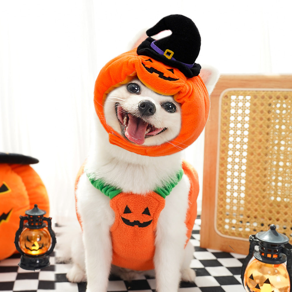 SpookyTail Pumpkin – Traje de Calabaza para Mascotas