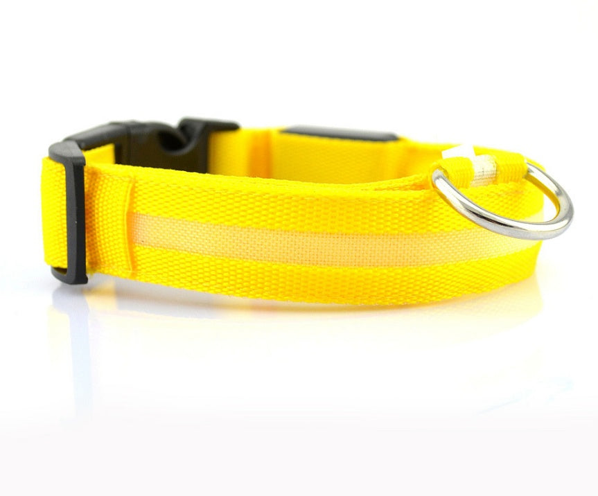LumiPet – Collar de Visibilidad Nocturna Para tu Mascota