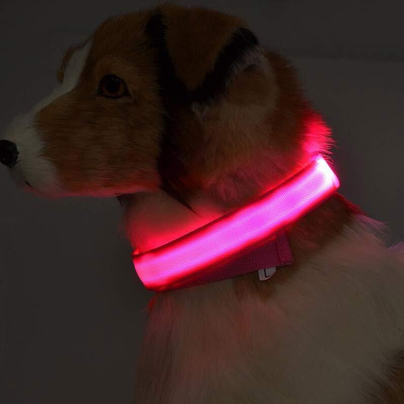 LumiPet – Collar de Visibilidad Nocturna Para tu Mascota