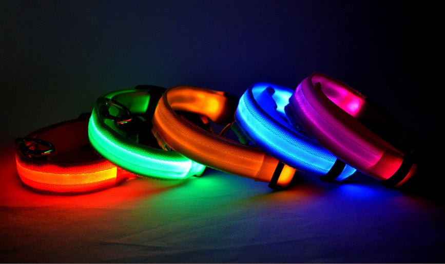 LumiPet – Collar de Visibilidad Nocturna Para tu Mascota