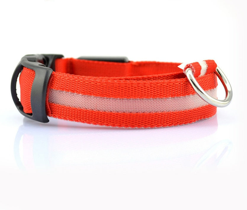 LumiPet – Collar de Visibilidad Nocturna Para tu Mascota