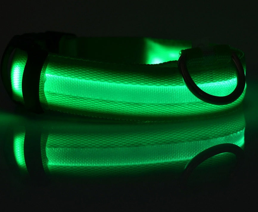 LumiPet – Collar de Visibilidad Nocturna Para tu Mascota