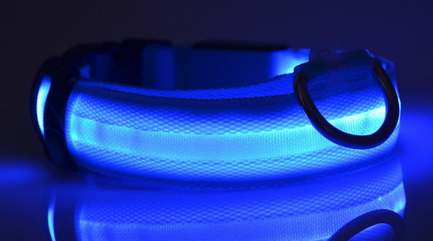 LumiPet – Collar de Visibilidad Nocturna Para tu Mascota