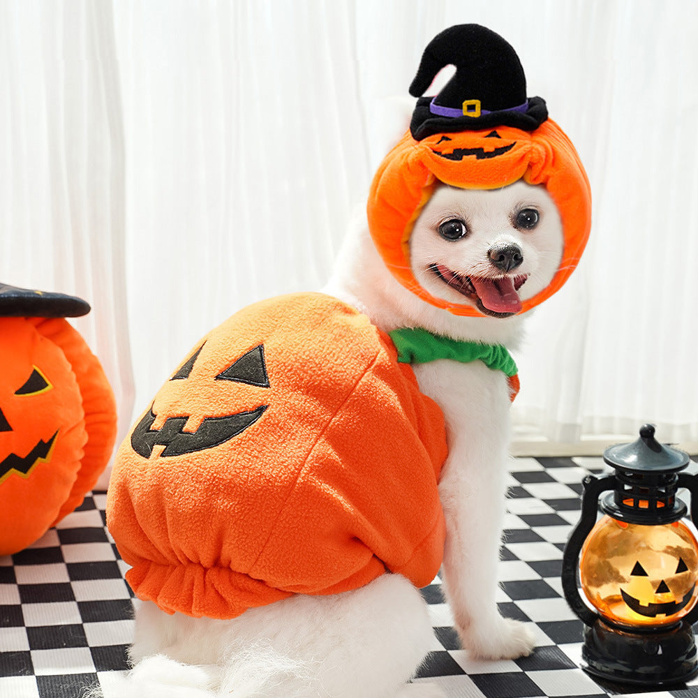 SpookyTail Pumpkin – Traje de Calabaza para Mascotas