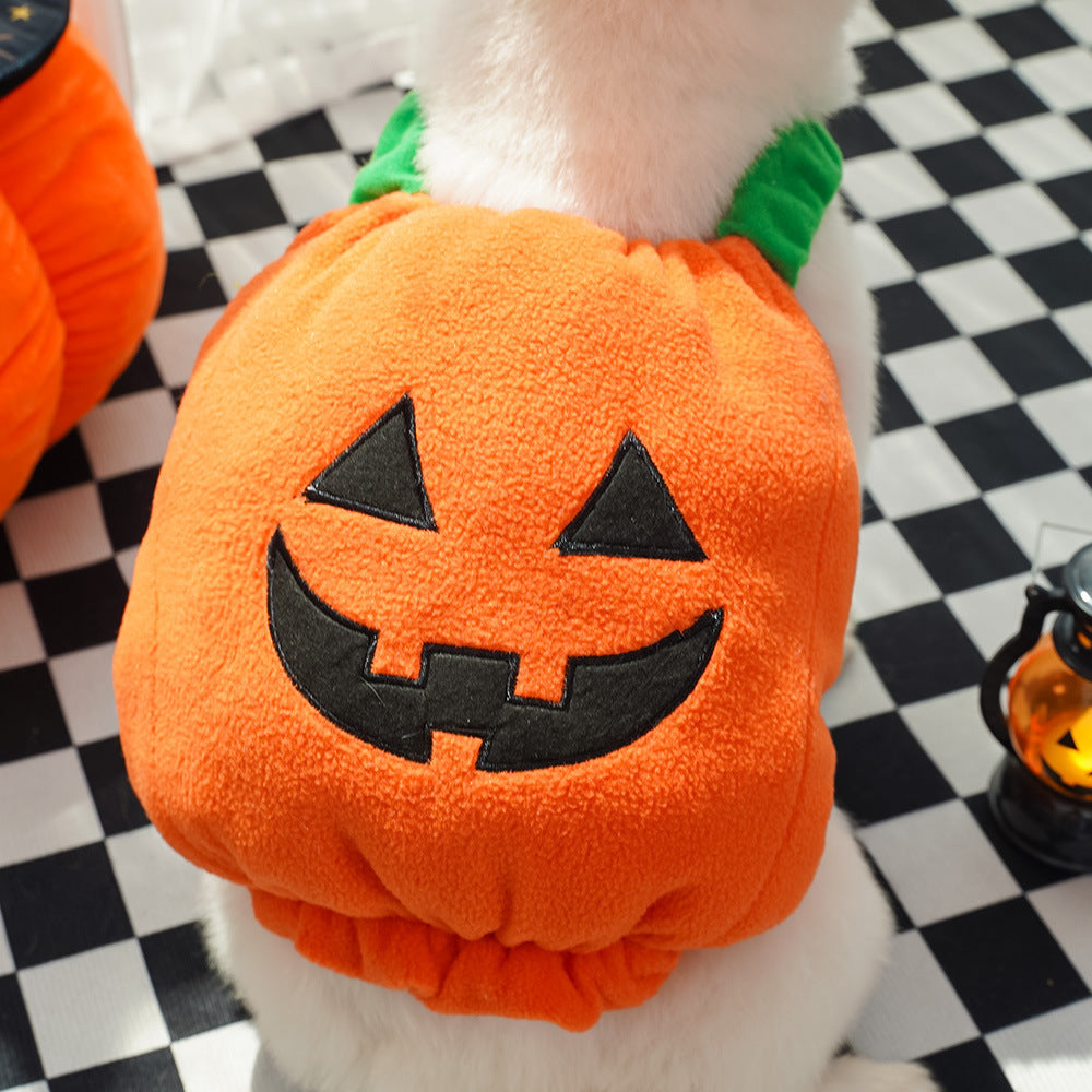 SpookyTail Pumpkin – Traje de Calabaza para Mascotas