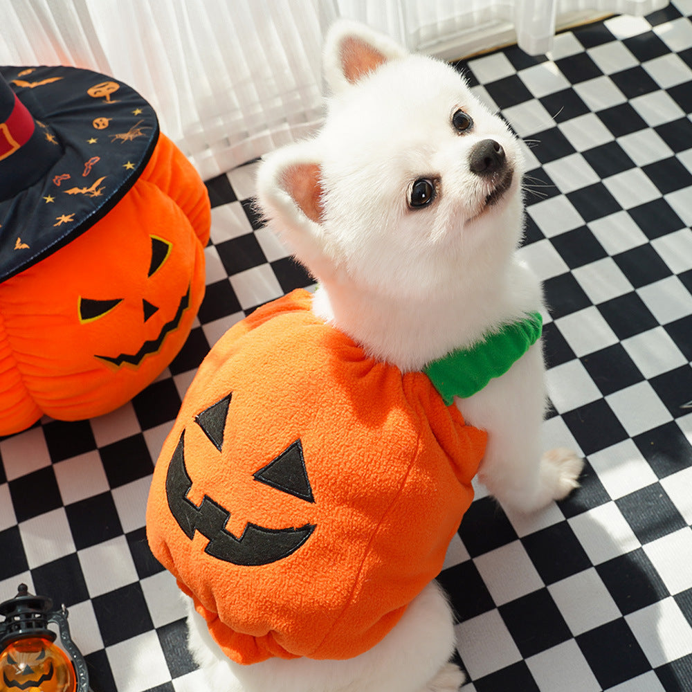 SpookyTail Pumpkin – Traje de Calabaza para Mascotas