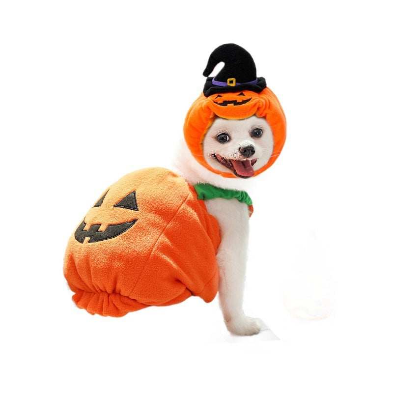 SpookyTail Pumpkin – Traje de Calabaza para Mascotas