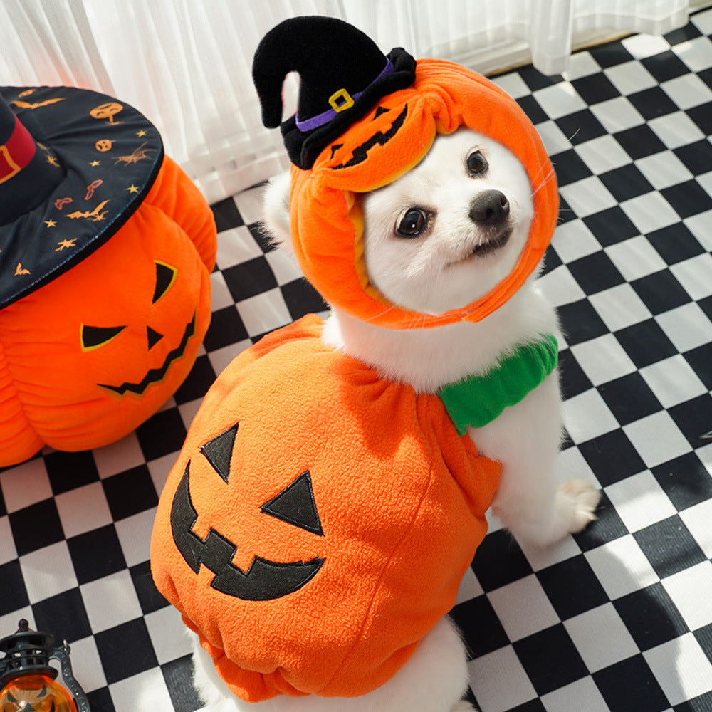 SpookyTail Pumpkin – Traje de Calabaza para Mascotas