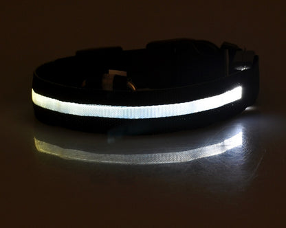 LumiPet – Collar de Visibilidad Nocturna Para tu Mascota