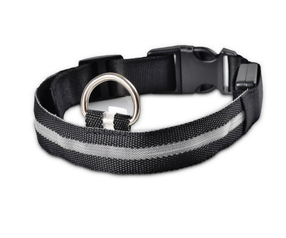 LumiPet – Collar de Visibilidad Nocturna Para tu Mascota