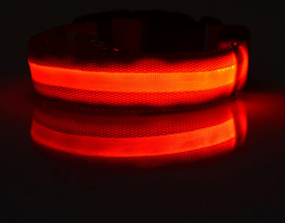 LumiPet – Collar de Visibilidad Nocturna Para tu Mascota