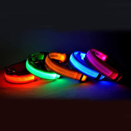 LumiPet – Collar de Visibilidad Nocturna Para tu Mascota