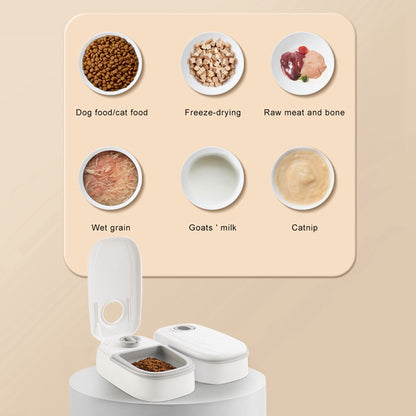 FeedTime Pro – Comedero Automático con Temporizador