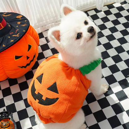 SpookyTail Pumpkin – Traje de Calabaza para Mascotas